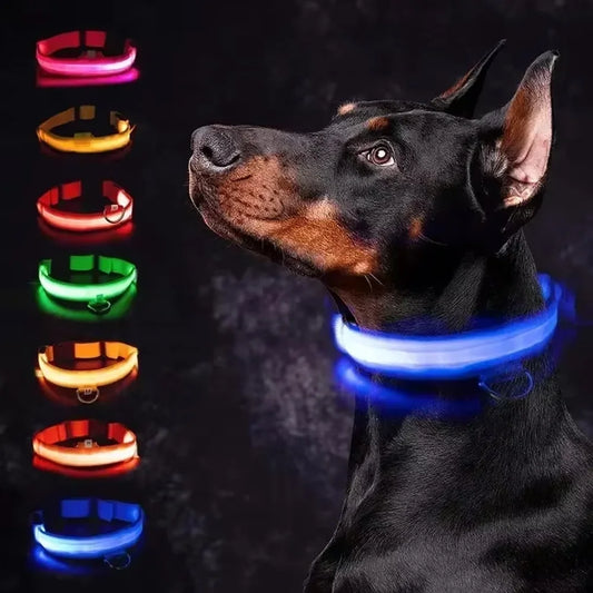 Rechargeable Light Up Dog Safety Collar